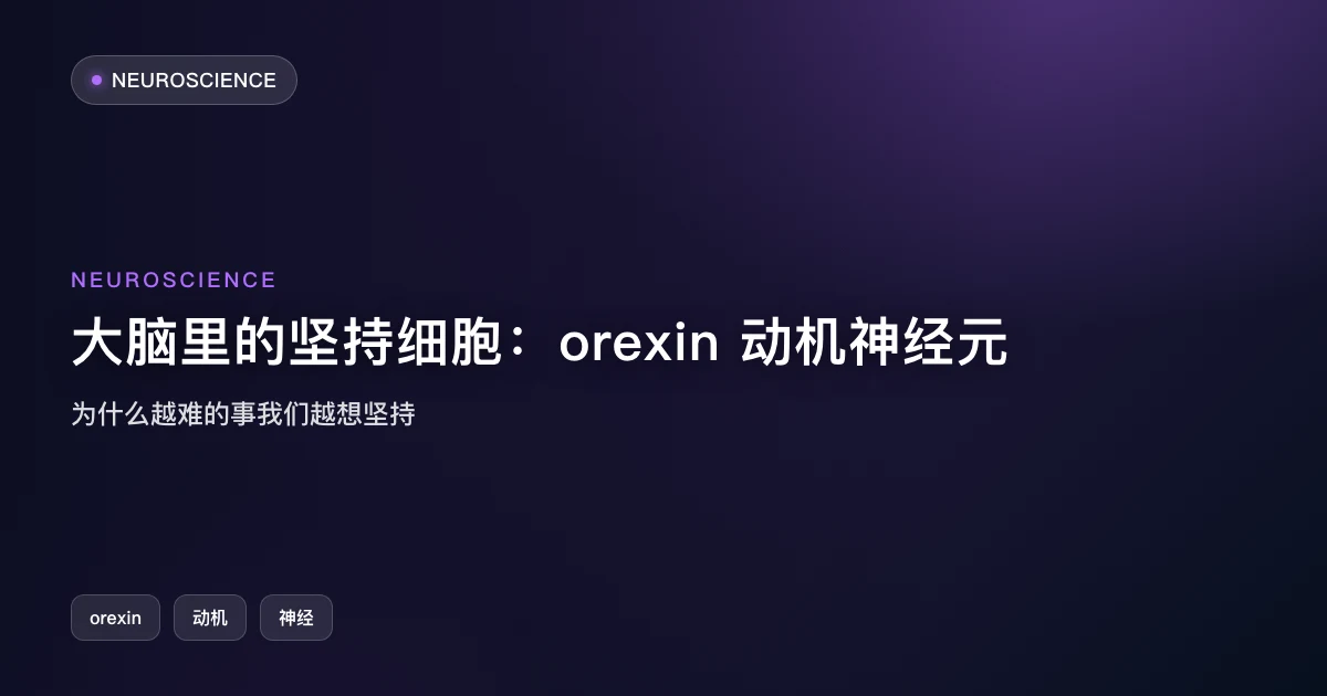 大脑里的坚持细胞：orexin 神经元如何让你越难越想坚持