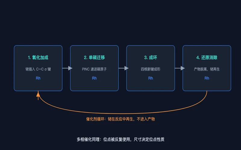 图2:催化循环示意——氧化加成、单碳迁移、成环、还原消除,铑在循环中再生