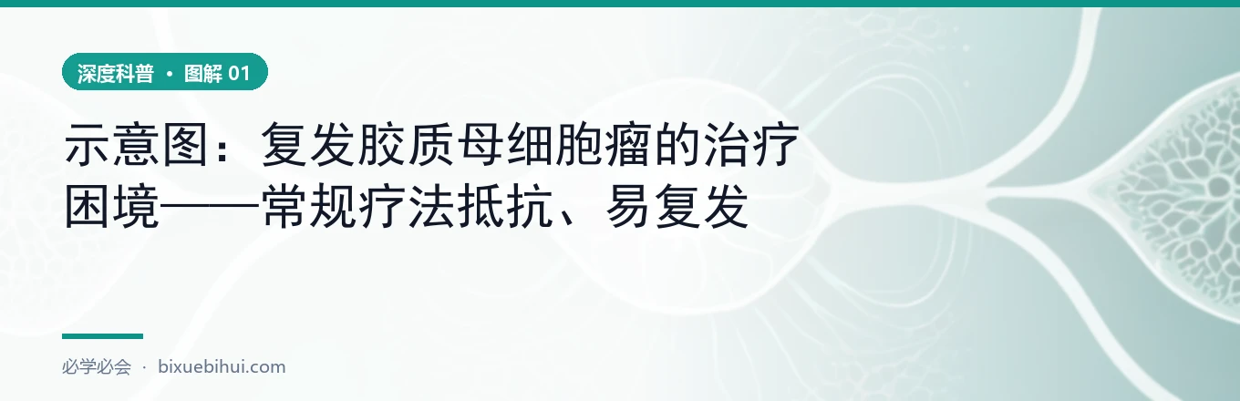 示意图：T 细胞识别并攻击肿瘤细胞的免疫过程