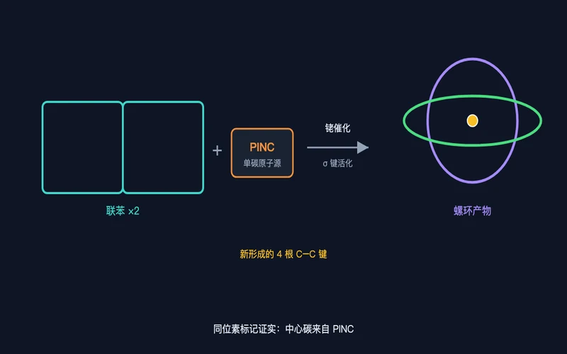 图2：反应图景——两个联苯单元与 PINC 经铑催化，一次形成四根新键