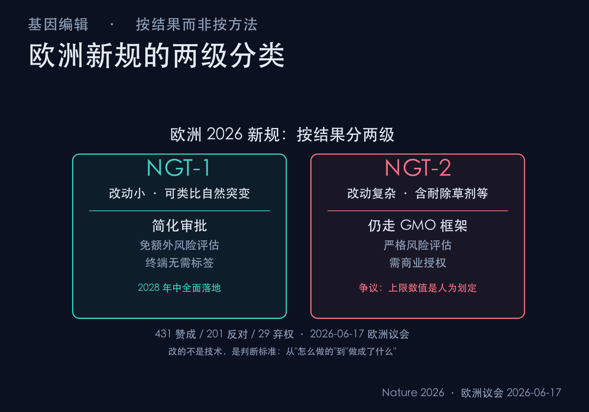 NGT-1 与 NGT-2 两级监管