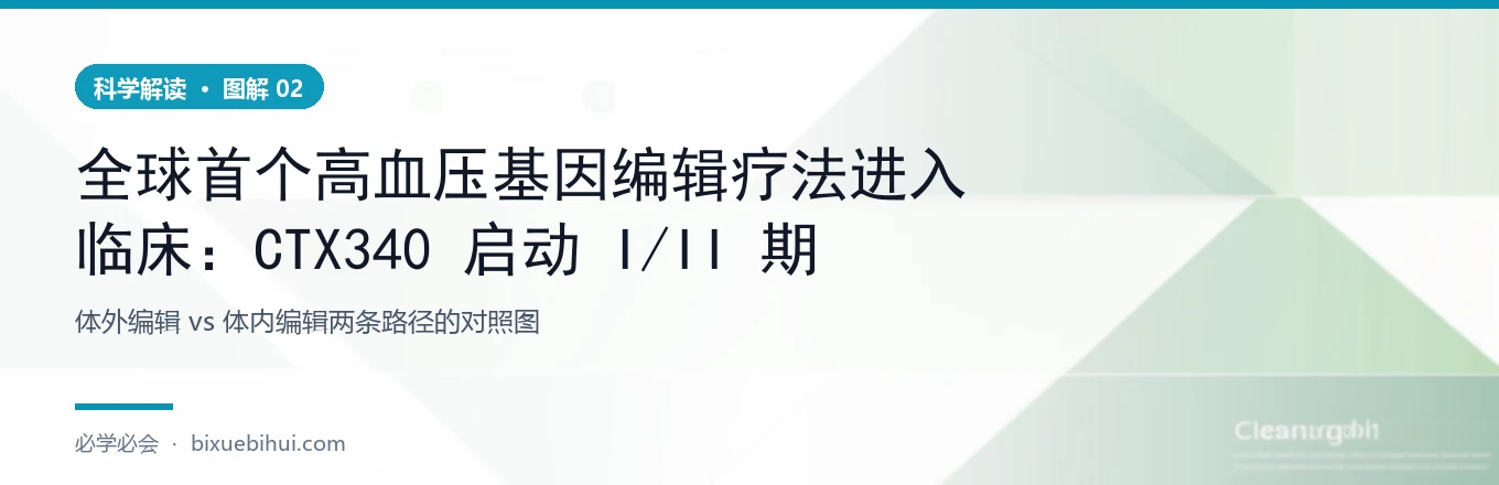 临床前关键数字（自发性高血压大鼠，单次 2 mg/kg）