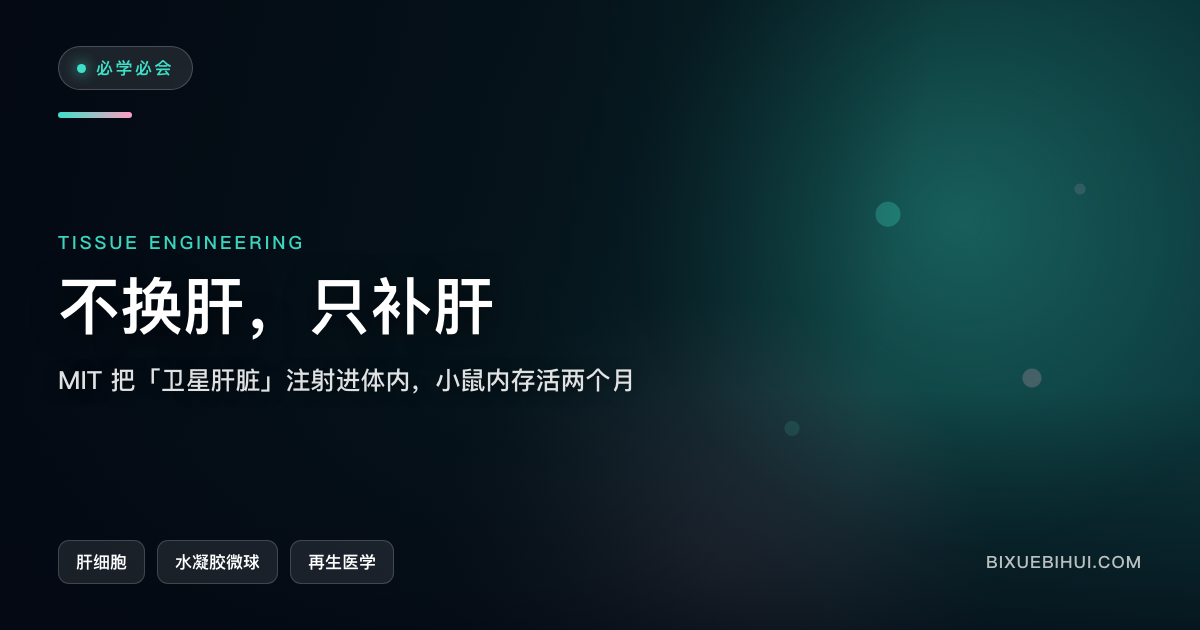 可注射的迷你肝:MIT 给等不到移植的人造了个「临时工地」