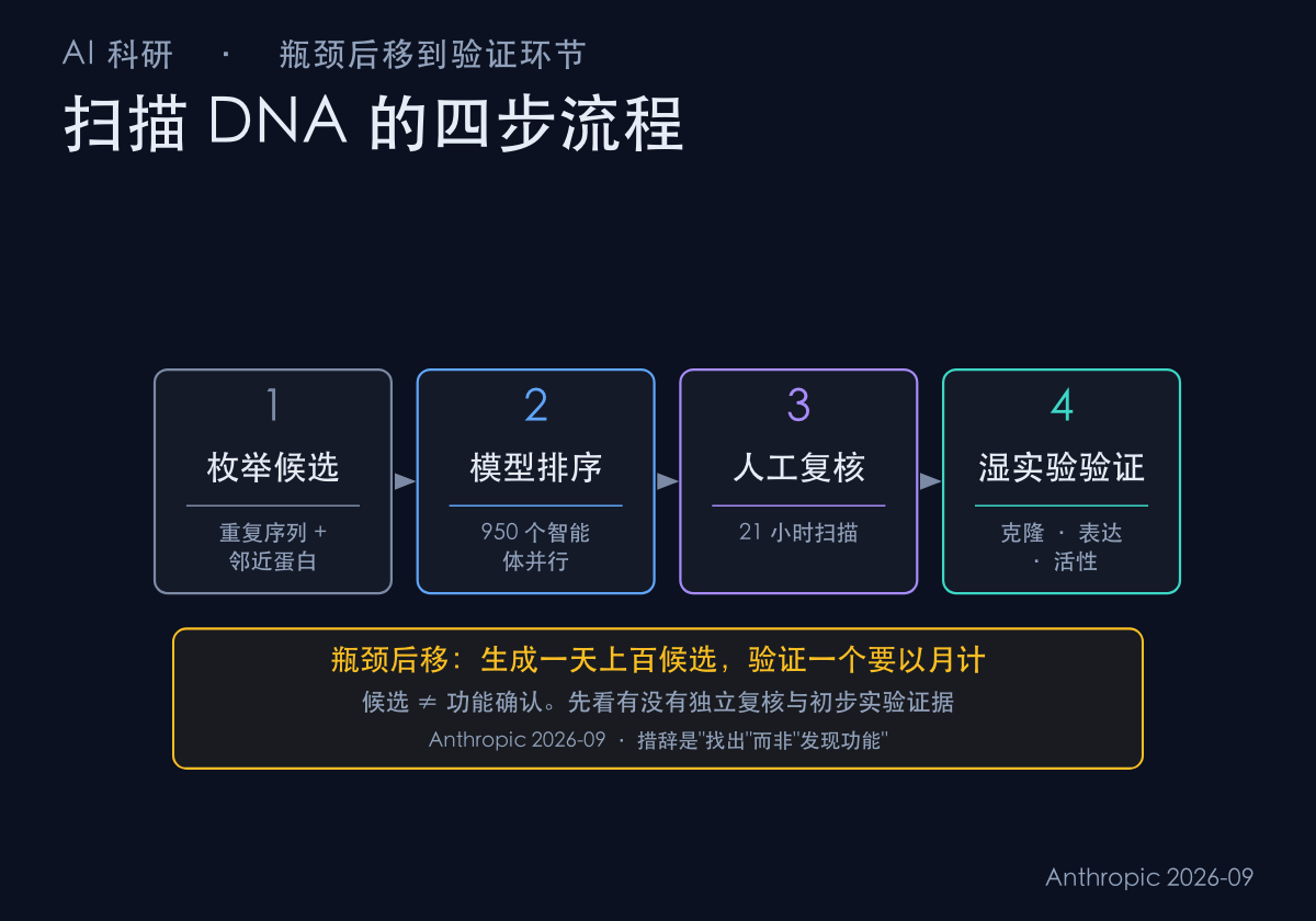 AI 扫描 DNA 的四步流程