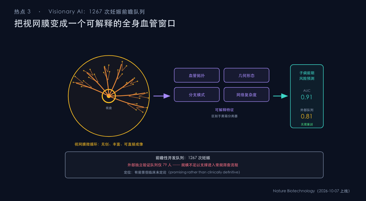 图：视网膜血管网络的拓扑与几何特征用于预测子痫前期