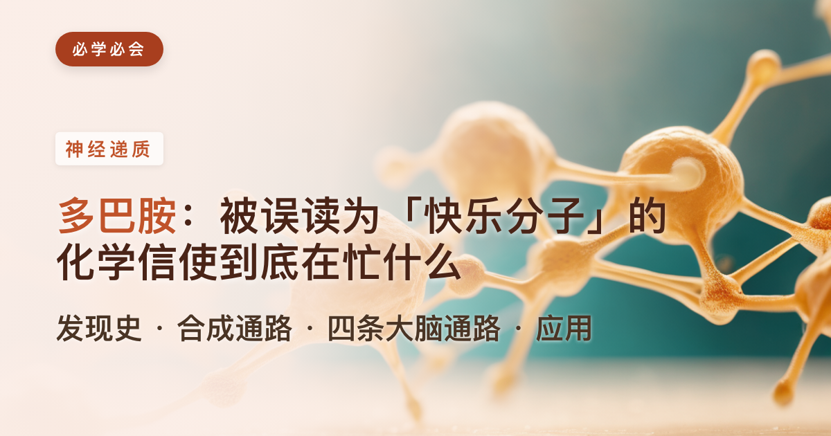 多巴胺简史:从「快乐分子」的误读,到它在大脑里真正做的事