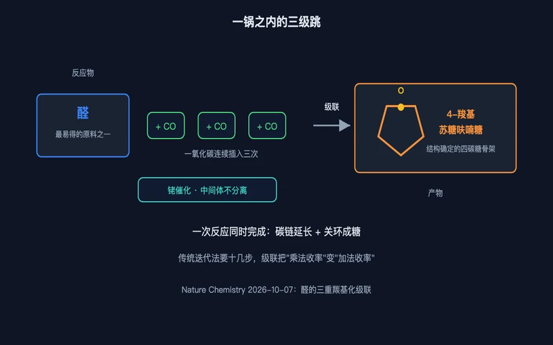 图1：一锅之内的三级跳——醛与三个一氧化碳经铑催化级联，一步得到四碳糖骨架