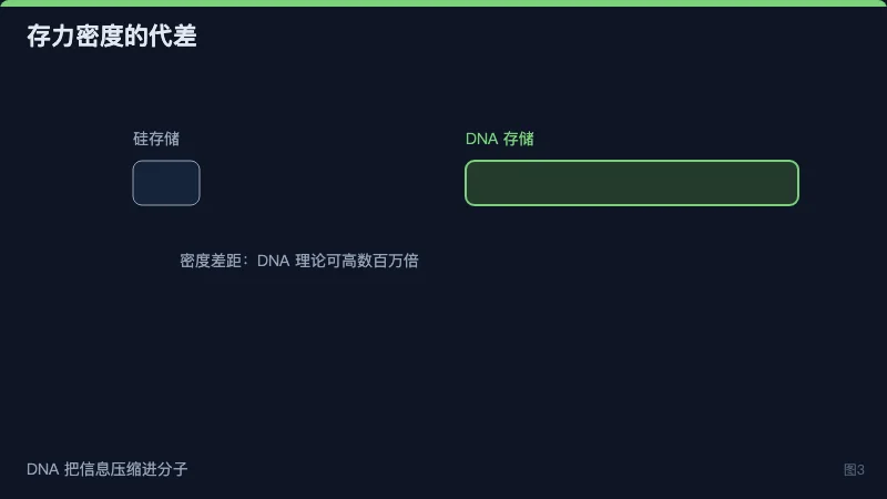 硅基 vs DNA 存储密度标尺