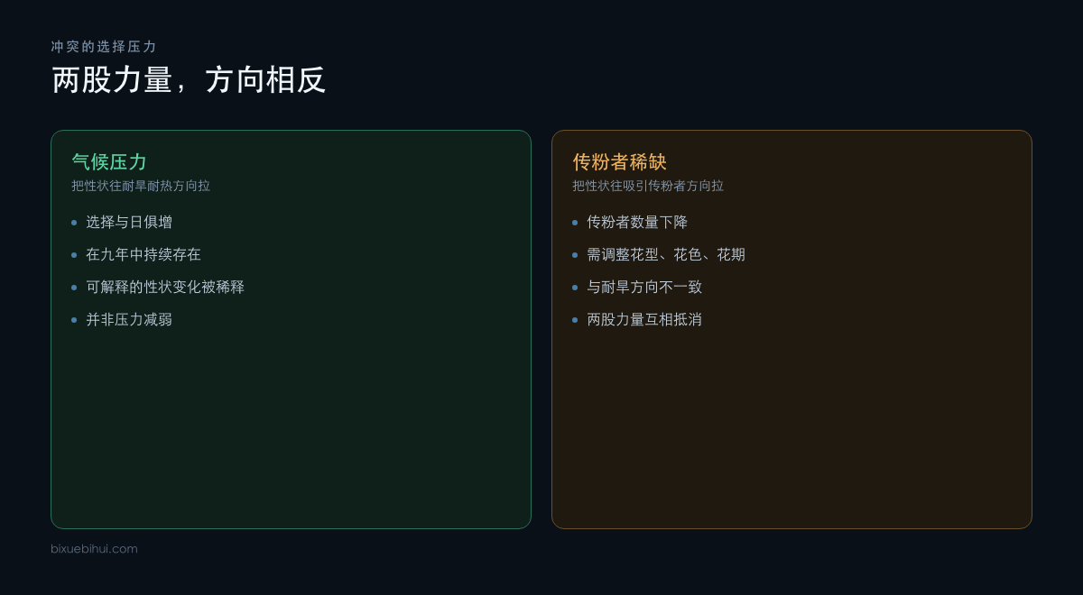 两股方向相反的选择压力