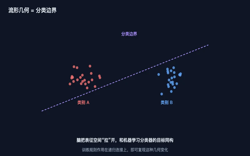 图2：生物网络把表征空间“拉”开，与机器学习分类器的决策边界优化同构