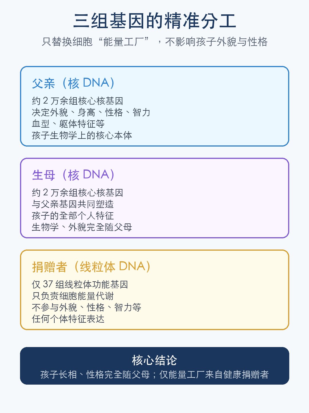 三组基因的精准分工信息图