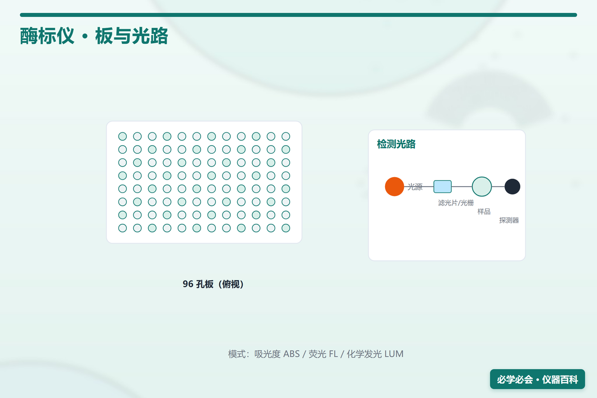 酶标仪工作原理图：光源-单色器-微孔板-检测器光路 + 四种检测模式